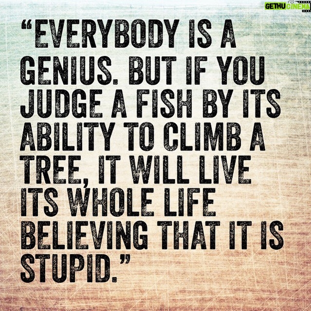 Eve Instagram - Do you!! Everyone has their own special unique #gifts Never compare yourself. Find what you love the most and do it the best you can You are made #perfect... sending #love ❤️