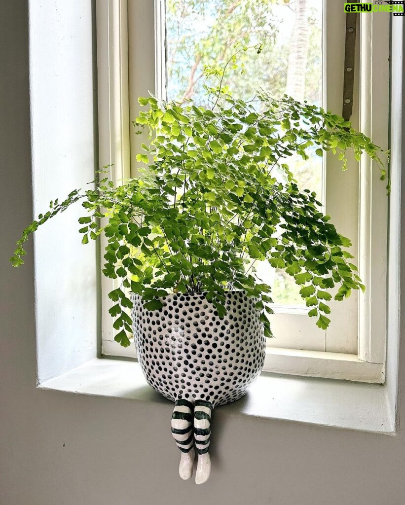 Evelyn Sharma Instagram - Obsessed with little legs… 🤩🥰😅😮‍💨 #momthings #plantobsessed #littlelegs #indoorgarden