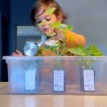 Evelyn Sharma Instagram - *more plz* 🥰 could water plants with my cutie all day long!! 🪴👩🏻‍🌾 #love #motherdaughter #parenting #momlife #howtokeepatoddlerbusy #gardening