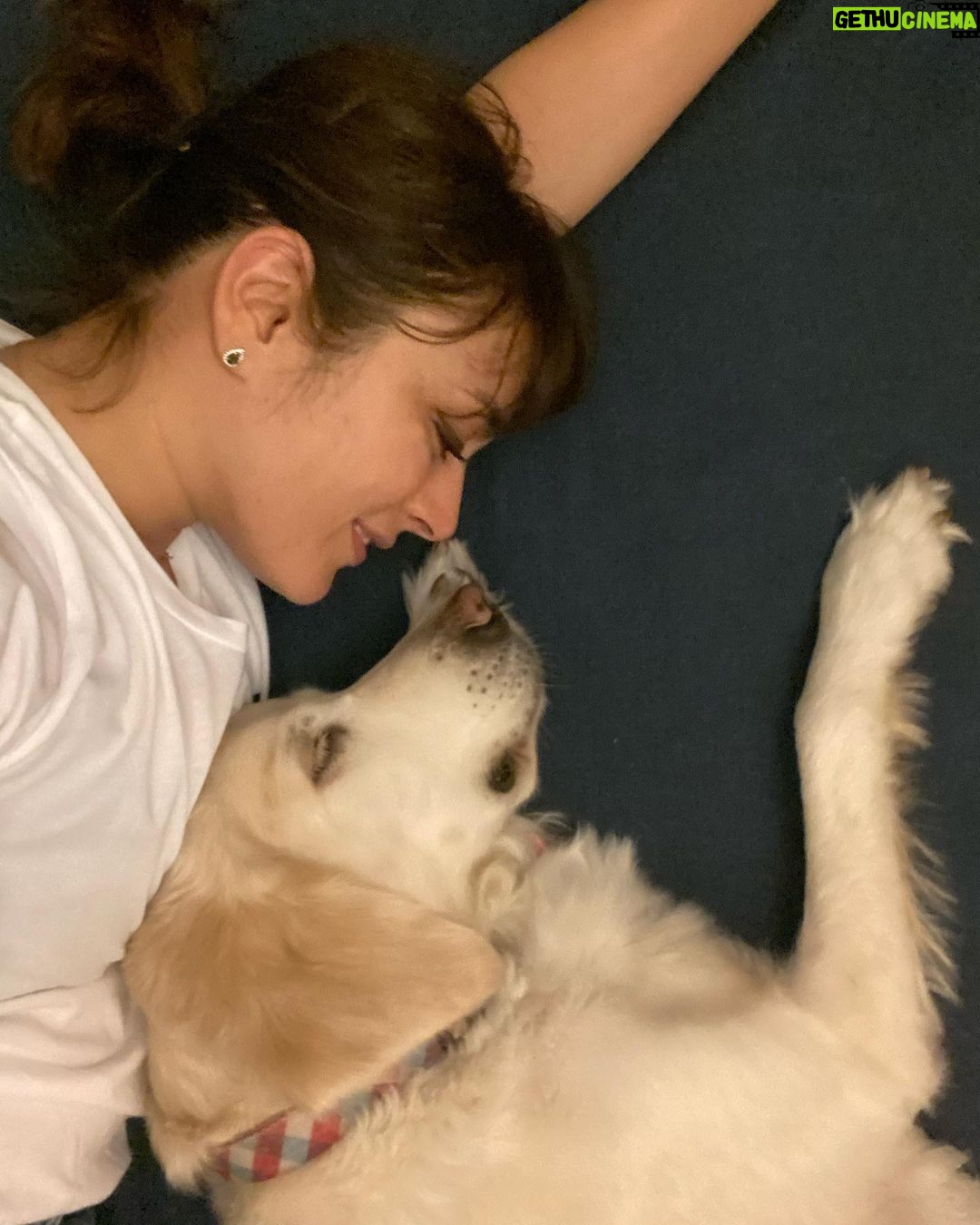 Ezgi Mola Instagram - Selam söyle Suşi’ye! Ben napıcam şimdi Kuki … 🌸
