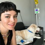 Ezgi Mola Instagram - 10 günün özeti … 💖 (Kuki korkuttu ama iyi bin şükür.. 🌹)