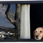 Ezgi Mola Instagram -