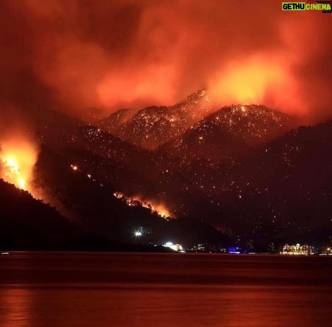 Ezgi Mola Instagram - 🚨I am calling all the countries who can help us. We are perished and devastated with the total 112 fires. The ones that we can’t stop are still going so strong. We dont have enough fire fighting planes to stop it. We lost 8 people, so many animals and our forests. Please help us!!!!! We need planes urgently. We only have 1 world. #helpTurkey @unitednations 🚨Bize yardım edebilecek tüm ülkelere seslenmek istiyorum. 112 adet yangın sebebiyle perişan ve harap olduk. Halen devam etmekte olan yangınlar çok güçlü. Bunları söndürmeye yetecek adette uçağımız yok. 8 insanı, sayısız hayvanı ve ormanlarımızı kaybettik. Lütfen bize yardım edin. Sadece 1 dünyamız var. #helpturkey 🚨🚨🚨 Lütfen bu mesajı yayın. Bizim çok acil olarak dünya çapında sesimizi duyurmaya ve yardıma ihtiyacımız var.