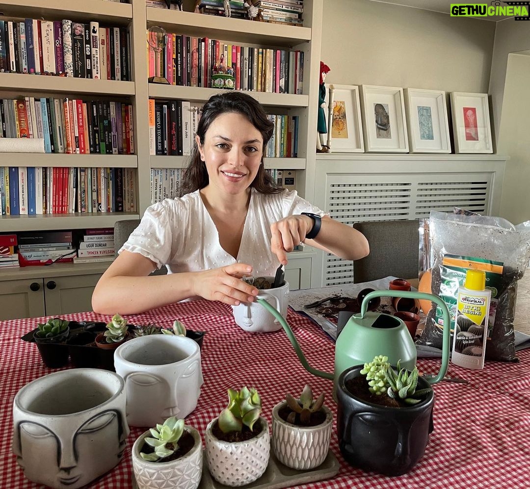 Ezgi Mola Instagram - GÜ NAY DIN 😁 Evdeki çiçeklerin topraklarını değiştirme vakti 🥰Tek bir farkla : yeni saksılar😍 Bu 17 günü çiçeklere ve toprağa adayıp stres atalım diyorum ne dersiniz😇 @hepsiburada #işbirliği