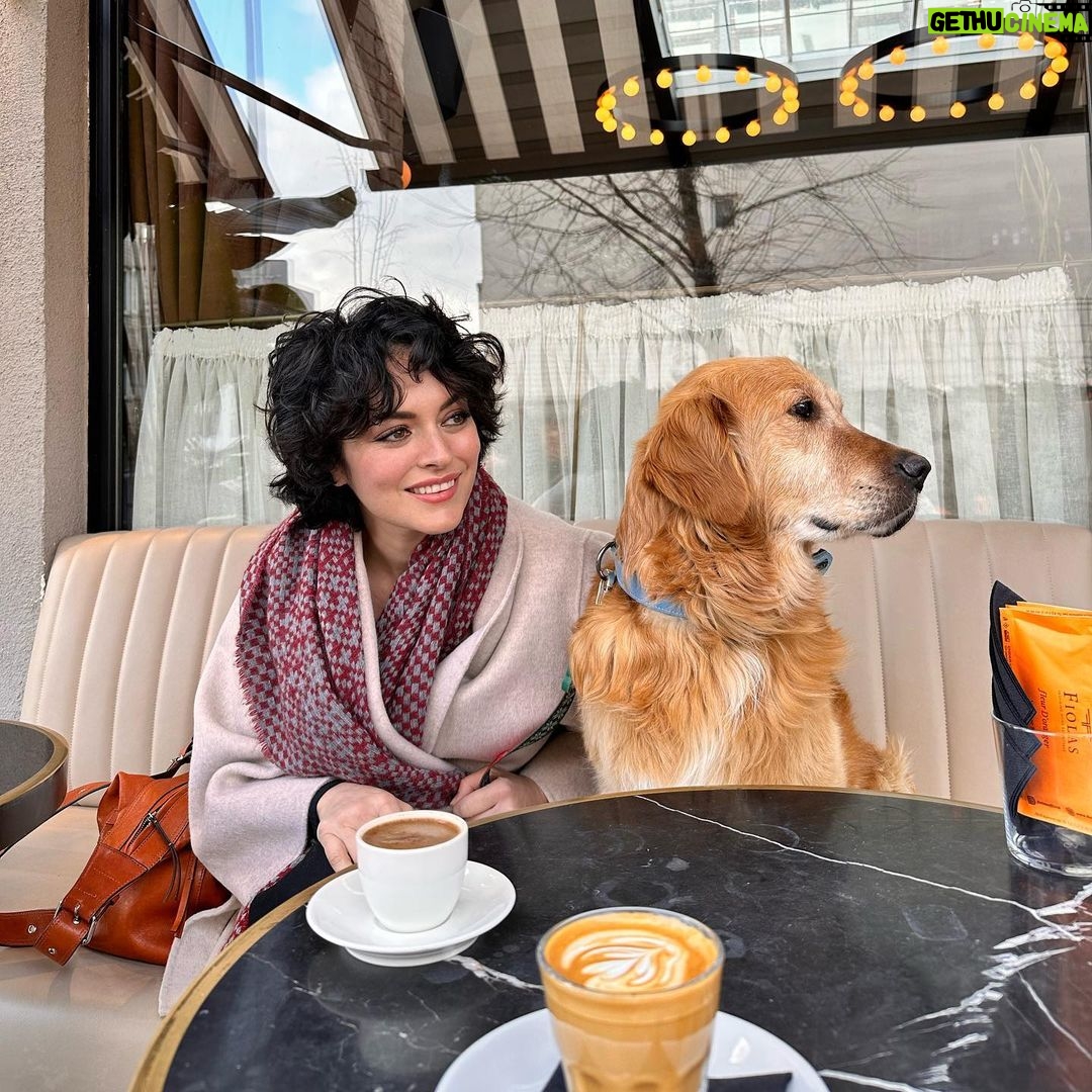 Ezgi Mola Instagram - Zeus ๐๐ผ๐๐ธ๐พ Maraลโtan geldi โฆ Sahiplerinden bana emanet ๐๐ผ @boopkurucesme