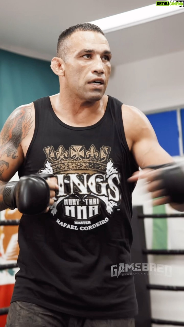 Fabrício Werdum Instagram - A glimpse of Fabricio Werdum’s intense open workout yesterday 🔥 witness the preparation and power and the brings to the ring. Mark your calendars - buy your tickets TODAY, 2 weeks away from witnessing history! 👊🩸 🗓️ Friday, September 8th 🎟️ Ticketmaster.com 🏟️ VyStar Veterans Memorial Arena 📍 Jacksonville, FL Wildcard Boxing Gym