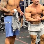 Fabrício Werdum Instagram – É MELHOR CADA UM FICAR NA SUA ÁREA! DESCULPA @gnomo.oficial