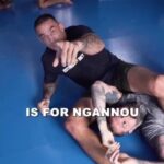 Fabrício Werdum Instagram – WERDUM VS @francisngannou 

QUAL É SEU PALPITE? 

@estrelabet