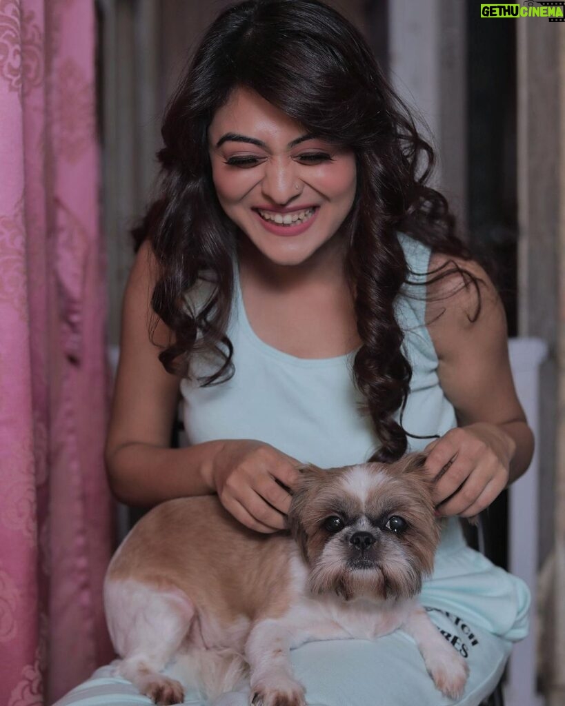 Falaq Naaz Instagram - Pawdon me for being cute😜😅 . . Styled by - @purvabansal5 Outfit by - @sketchvibes.co . . #picture #falaqnaaz #falaqkifauj #ootd #pet #laila #explore #foryou #postoftheday
