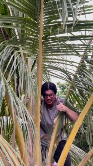 Fattah Amin Instagram - Tinggi betul pokok yang Dani panjat ni ek.. 😆

#bts #akandatang #astrowarna #latahfighter