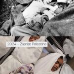 Fattah Amin Instagram - Repost @islam.for.mankind History should stay where it is… not used as justification for future atrocities. When the Muslims opened their lands, their homes, their lives to their Jewish brothers and sisters they never expected this in return. But we would still do it again if it was needed, just as we did in the past when we took back Jerusalem after the Jews had all been expelled, we invited them back to live in peace with us. #freeisrael #zionism #israel #israelinstagram #israël