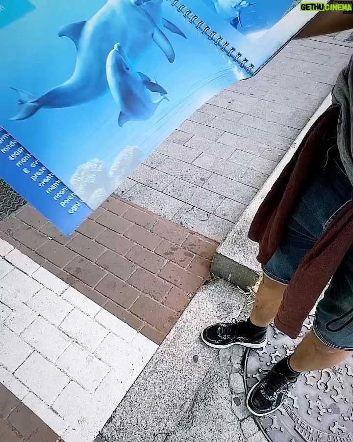 Federico Bal - 11.1K Likes - Les dejo unas postales desde Génova, la tierra de mis ancestros, de los Barbieri. Una visita emocionante a la tierra madre de muchos argentinos. Pronto lo verán en @restodelmundo13 !
Seguimos recorriendo Italia, más feliz no puedo estar 🇮🇹🤯♥️🫶🏻✈️