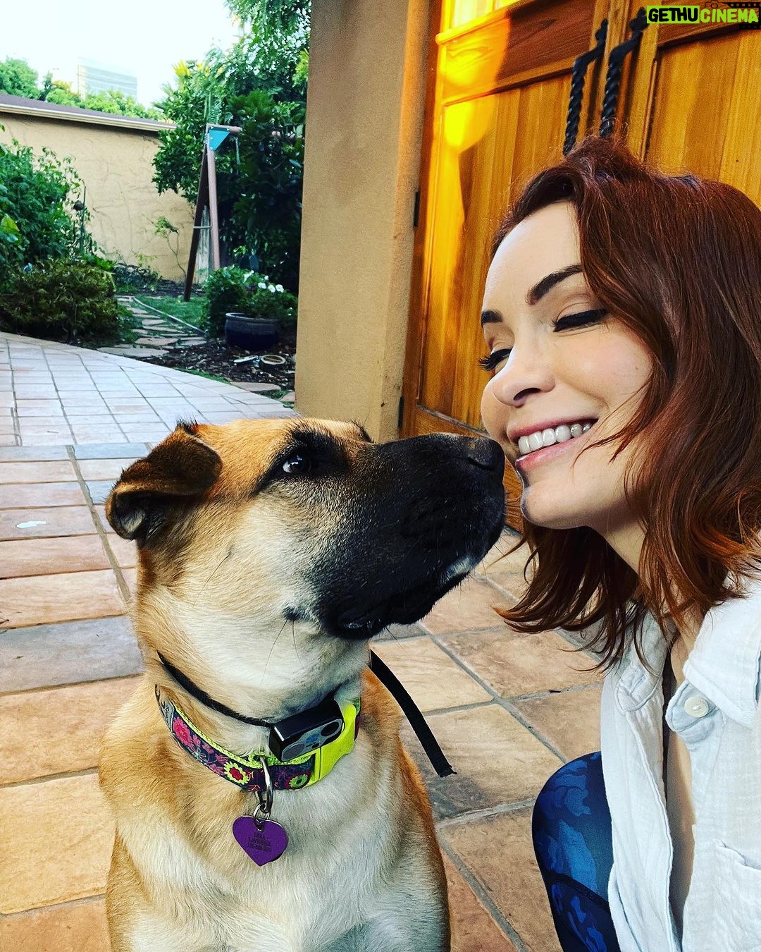 Felicia Day Instagram - Enjoying my dog today.