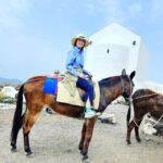 Felicia Day Instagram - My horse (donkey) is amaaazing! #santorini
