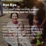 Felicia Day Instagram - I needed to dedicate some writing to my grandma who recently passed away. She was one of a kind, I hope you’ll agree. Check out the essay on my newsletter.
