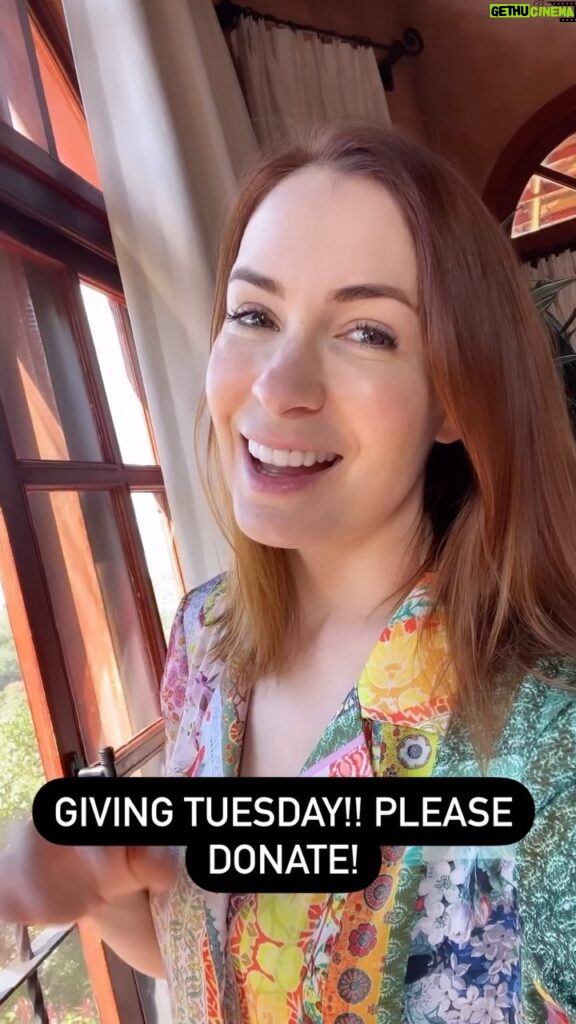 Felicia Day Instagram - Please consider donating even a few $ to @papayagorescue! They are incredible! Link in bio! And give them a follow for cutie bird pics! :) if you are in Atlanta they need volunteers too! Ty!!!