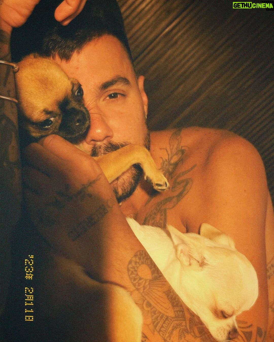 Felipe Ribeiro Instagram - bom dia com muito amor por aqui 🤍