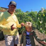 Fergie Instagram - Harvest 2019 at @FergusonCrest