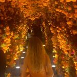 Fernanda Castillo Instagram – México Mágico contigo @erikhayser 
 Gracias @the_macallan 
@juanbarbatowhisky