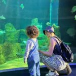 Fernanda Castillo Instagram - Descubriendo el mundo contigo #Liam #mama 🐠🐡🐙 Gracias @vieyraasoko por ser familia con nosotros! Gracias #guadalajara