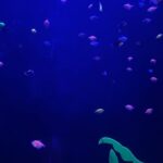 Fernanda Castillo Instagram - Descubriendo el mundo contigo #Liam #mama 🐠🐡🐙 Gracias @vieyraasoko por ser familia con nosotros! Gracias #guadalajara