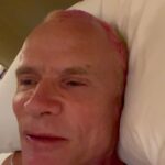 Flea Instagram - Japan