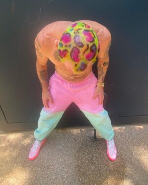 Flea Instagram - Off to Denver!
