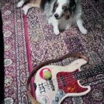 Flea Instagram - my trusty dog with her trusty ball on my trusty bass