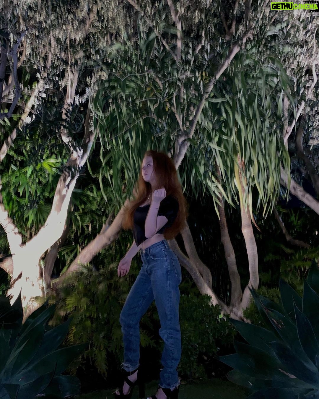 Francesca Capaldi Instagram - Welcome to the jungle 🖤