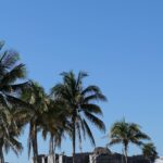 Francesco Bagnaia Instagram - Love, colors, Maya, beach and iguanas ❤️☀️🦎 Maroma, A Belmond Hotel