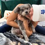 Francia Raísa Instagram - He hates cuddling and that’s all I want 😫