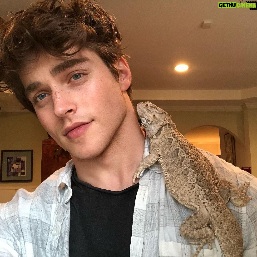 Froy Gutierrez - 395.8K Likes - me n my dog ➖👌➖