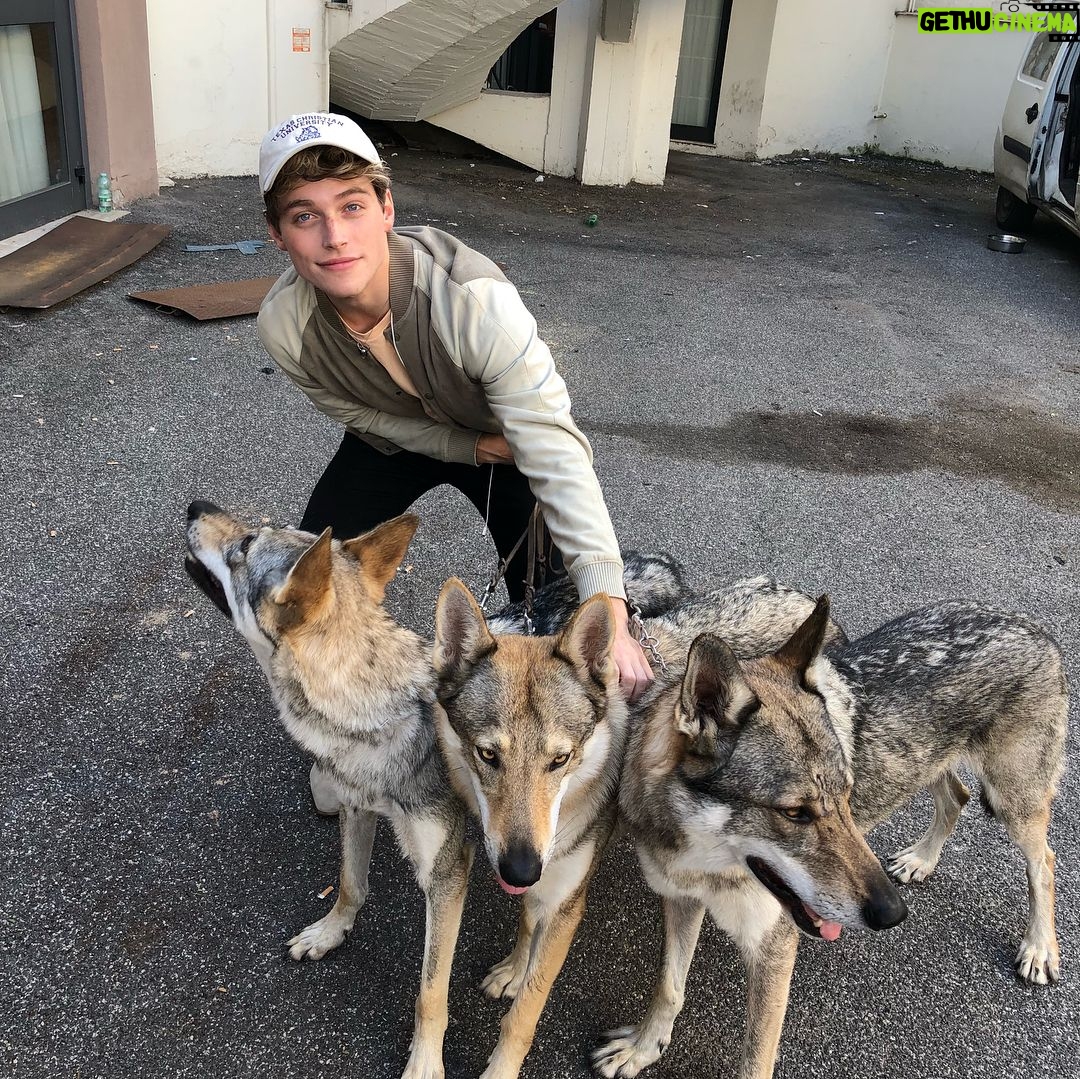 Froy Gutierrez - 343K Likes - i made friends with some very good boys this weekend. ➖🐺➖