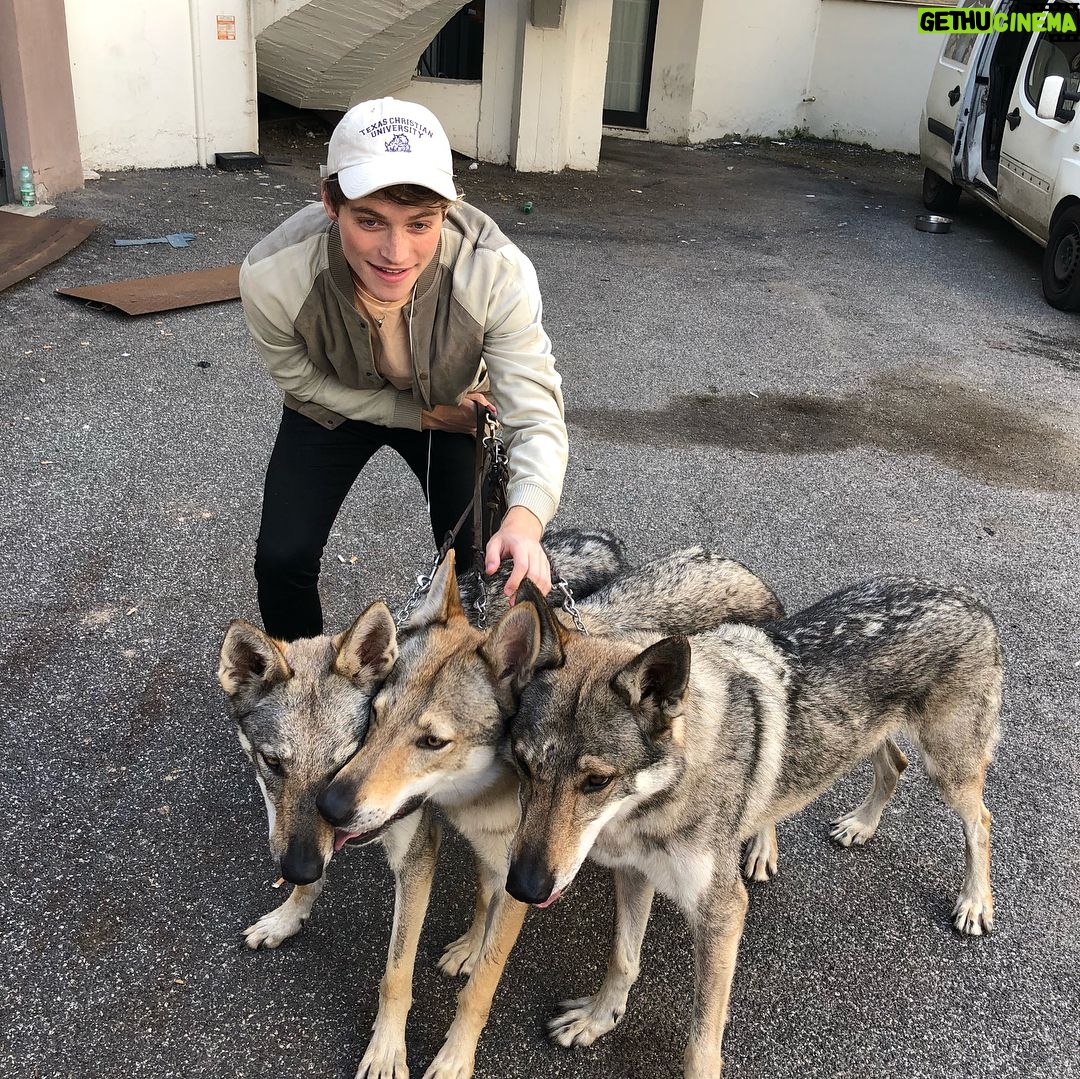 Froy Gutierrez - 343K Likes - i made friends with some very good boys this weekend. ➖🐺➖