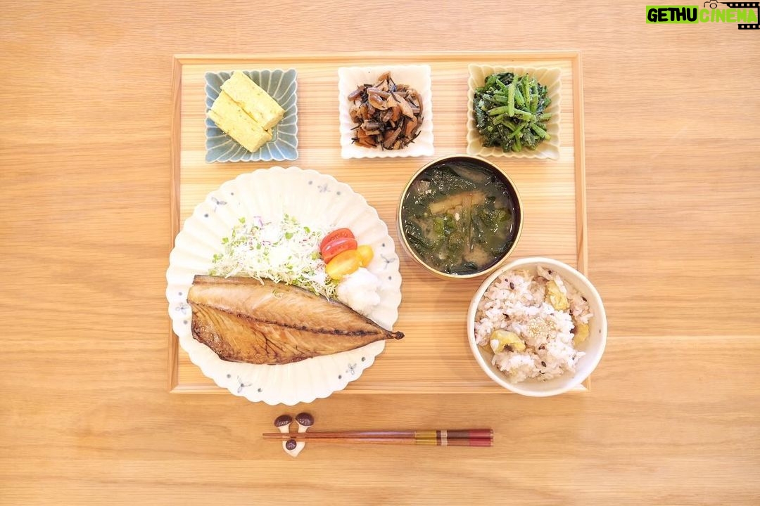 Fumino Kimura Instagram - *** 今日のごはんでした。 #カネタ前田商店 さんのサバの干物 キャベ千サラダ、トマト 久々にちゃんと焼けただし巻き 余り野菜のひじき煮 ほうれん草のごま和え 大根とワカメのおみそ汁 雑穀米ごはん みんなサブスク登録ありがとうです🫰🏻✨ YouTubeには載らなかった動画や写真 仕事中の今をご紹介だったり ファンミーティングに向けた相談 質問タイムなどまったりやっていきます💌 まだだよーって方は トップのサブスクリプションから是非🥂 あ、1000投稿だった!! いつも応援して頂いて ありがとう御座います🤭✨