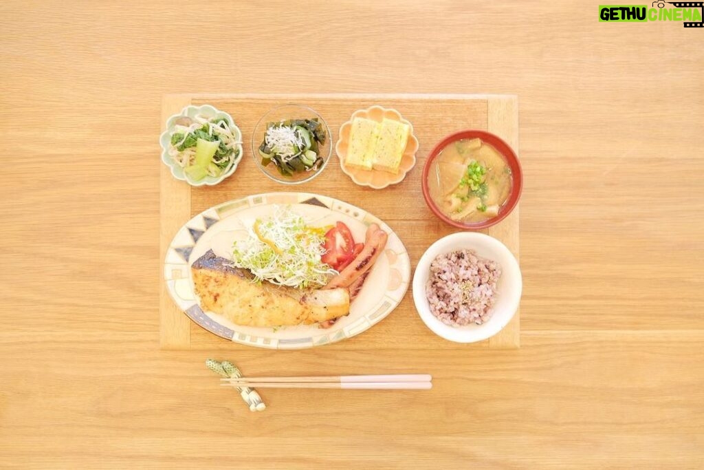 Fumino Kimura Instagram - *** 昨日のごはんでした。 サケのバター醤油焼き 懐かしのロングシャウエッセン キャベ千サラダ、トマト 青梗菜ともやしのナムル風 きゅうりとワカメとじゃこの酢の物 明太だし巻きたまご 大根とお揚げのおみそ汁 雑穀米 ちょっとお出かけすると 今までの何倍も疲れるし 回復が遅くて歳感じます。笑 という事でもりもり食べた日。