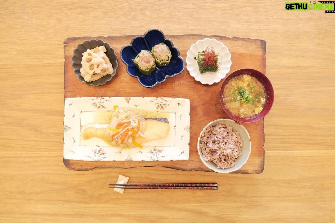 Fumino Kimura Instagram - *** 昨日のごはんでした。 焼きサケの野菜あんかけ レンコンの明太マヨ和え ピーマンのしゅうまい風 ほうれん草のおひたし 白菜とたまごのおみそ汁 雑穀米 *今日はちょっと長文書きます* 毎日なんとなく違うものを作れば それでいいって分かってるのに 毎回違うものを作りたくて でも作る数に対して発想が追いつかなくて 最近料理がちょっとイヤになってたんですよ。 なのに気付いたら 冷蔵庫の中を眺めてる自分がいて そっか、また一から好きになろうって まずは包丁を丁寧に研いでみたんです。 そしたら気持ち良く切れる ストン、ストンって音が心地よくて あぁそうだった、料理好きだなぁって。 ちゃんと料理上手くなりたいって 毎度おなじみ大好きな和食屋さん 和楽惣のご店主関根さんに 最初に教わったのが包丁の扱いで 『それは押しつぶしてる、切ってない』って。 それから毎日意識してきたはずが 切れなくなった包丁で料理してる事にも 気付いてなかったんだなぁ。 後ろ向いたままは歩きにくいから前を向くし 上を眺めてたらぶつかっちゃうから 足下をみるんだって 昔なんかの本で読んだなって。 思わぬ所で初心に返れましたって ご報告でしたっ笑 そして今日は ジャンピングエコTシャツの 予約最終日です!! 夏の不快な暑さを 着心地の良いTシャツで 一緒に乗り越えましょ♡ トップ画面のリンクから 遊びに来て下さいませ🙌🏻✨