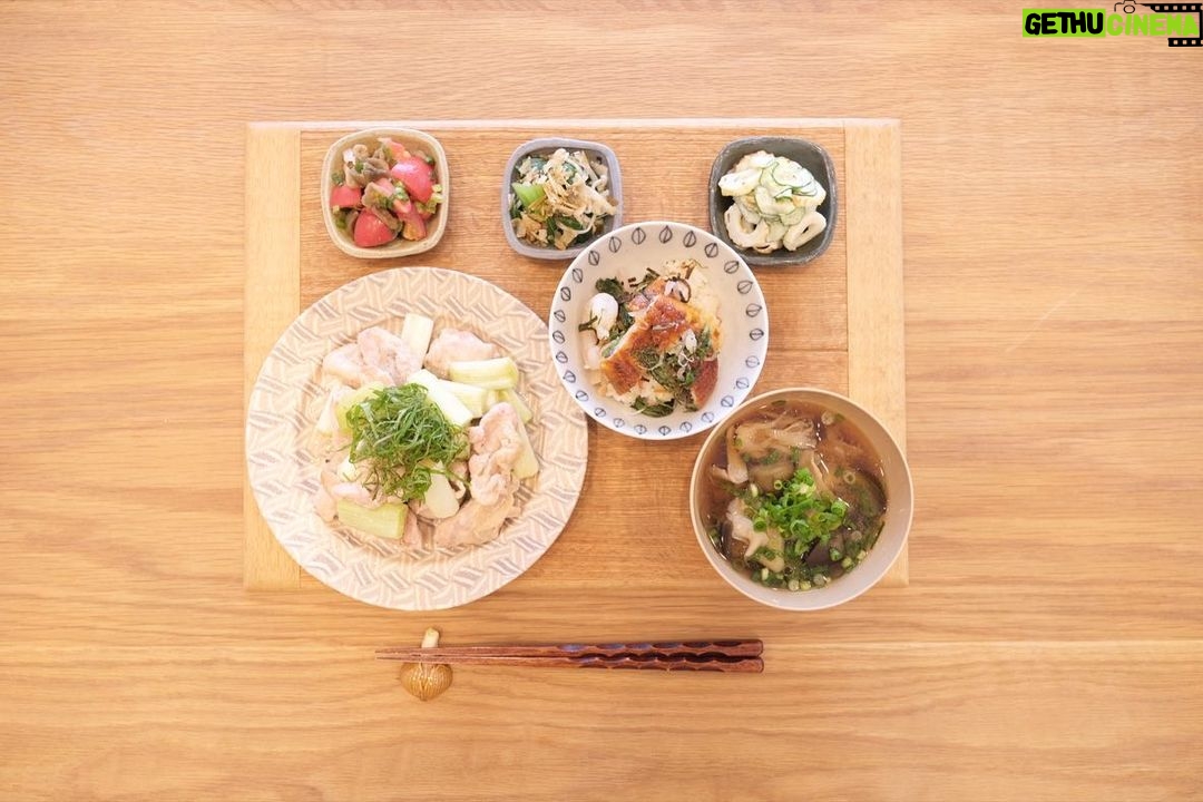 Fumino Kimura Instagram - *** 今日のごはんでした。 鶏ふりそでとねぎの塩焼き トマト搾菜 チンゲンサイとえのきのお浸し 竹輪ときゅうりのマヨ和え なすと舞茸のおみそ汁 関根さんのちらし寿司 むかーーーしからお世話になってる 大好きな和食屋さんに遊びに行った帰り 『明日のごはんな』と 持たせてくれたのは 鰻のちらし寿司でした。 気持ちのこもったごはんって なんて美味しいんだろう🍱 いただきます って良い言葉だよね🤭 おやすみなさい、また明日🍀