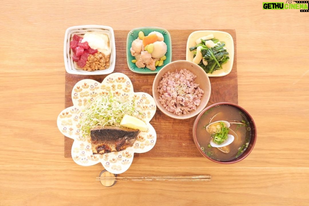 Fumino Kimura Instagram - *** 今日のごはんでした。 自家製塩サバは 乾かしすぎて美味しくなかったので 残ってる分は味噌煮にしようかなと 思ってるところです...orz 自家製塩サバ キャベ千サラダ 昨日のマグロカツの端っこを 切って取っておいた まぐろ山かけ納豆 鶏ふりそでと里芋の煮物 ほうれん草とお揚げの出汁浸し アサリのおみそ汁 雑穀米 焼き鳥のふりそでって部位が 好きで絶対頼むのですが そのふりそでが! 市場で普通に売っていて感動✨ お家で食べてもやっぱり美味しかった🐓 久々に外に出たら楽しくて 遠足前の子供みたいに寝られない私です🤸🏻♀️ おやすみなさい、また明日🫧