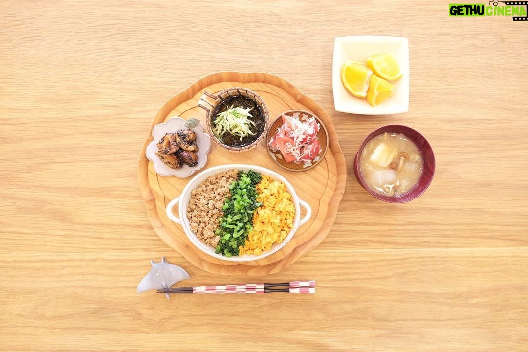Fumino Kimura Instagram - *** 今日の朝ごはんでした。 鶏そぼろ小松菜たまごの三色丼 蓮根とさつまいものデパ地下風 千切りきゅうりと針生姜もずく トマトとしらすのさっぱり和え 崩し豆腐となめこ白菜のおみそ汁 デコポン ま 味噌 ご ごま和え わ もずく や 小松菜、きゅうり さ しらす し なめこ い さつまいも おぉ、やってみるもんだ。 祖母も母も酢の物をよく出していて 特に祖母の作る三杯酢の味が好きだったなぁ。 幼い記憶だからもう味は忘れちゃったけど ふと思い出して作ってみた三杯酢。 食って一生のものだから 美味しい、好き、の思い出を たくさん作りたい🥗