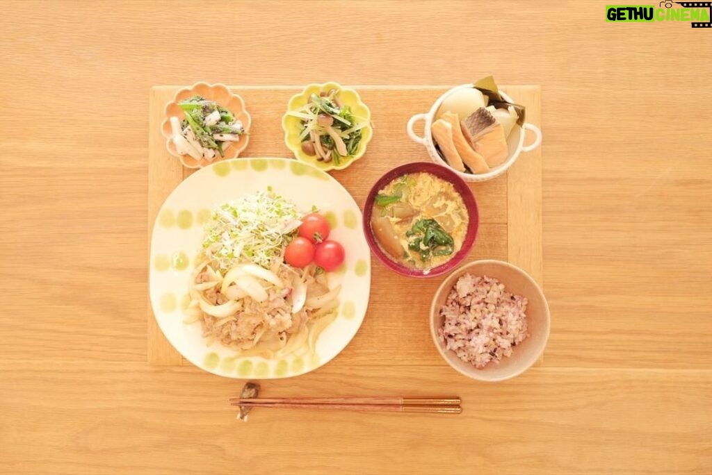 Fumino Kimura Instagram - *** 今日のごはんでした。 しょうが焼き キャベ千サラダ、トマト オクラと山芋のごま和え 水菜としめじのおひたし サケとカブと昆布の煮物 ナスとたまごとほうれん草のおみそ汁 雑穀米ごはん 食欲無い時にしょうが焼きって エネルギーになってくれる気がして◎ 最近寝ても寝ても眠くて 体力ギリギリの中で 必死に生きてる感がすごいです。 最近見た夢は 歯が全部ボロボロに崩れ落ちる夢でした🫠