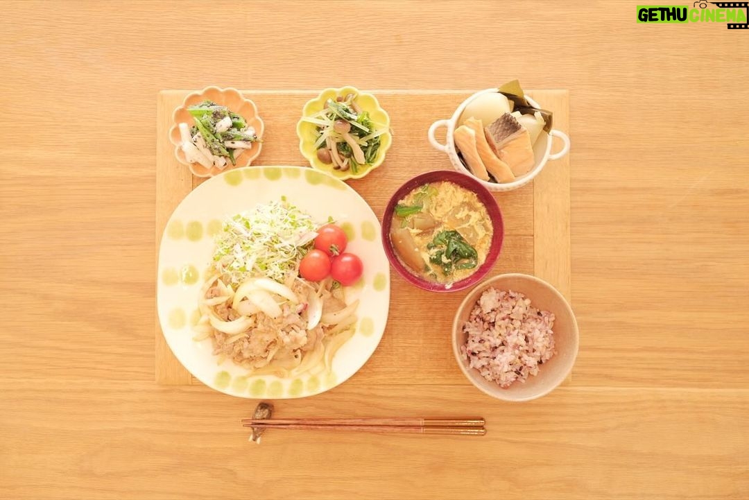 Fumino Kimura Instagram - *** 今日のごはんでした。 しょうが焼き キャベ千サラダ、トマト オクラと山芋のごま和え 水菜としめじのおひたし サケとカブと昆布の煮物 ナスとたまごとほうれん草のおみそ汁 雑穀米ごはん 食欲無い時にしょうが焼きって エネルギーになってくれる気がして◎ 最近寝ても寝ても眠くて 体力ギリギリの中で 必死に生きてる感がすごいです。 最近見た夢は 歯が全部ボロボロに崩れ落ちる夢でした🫠