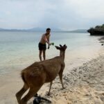Furkan Andıç Instagram - Rengarenk balıklar gördüük, deniz kıyısında geyik beslediiik, maymunların reflesksini test ettik, şelaleleri büktüüük daha neler neler… 🐠🦌🙉🌊🌳 #dump Lovina Beach