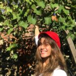 Gökçe Bahadır Instagram – #birpazarhikayesi 🍇☺️
