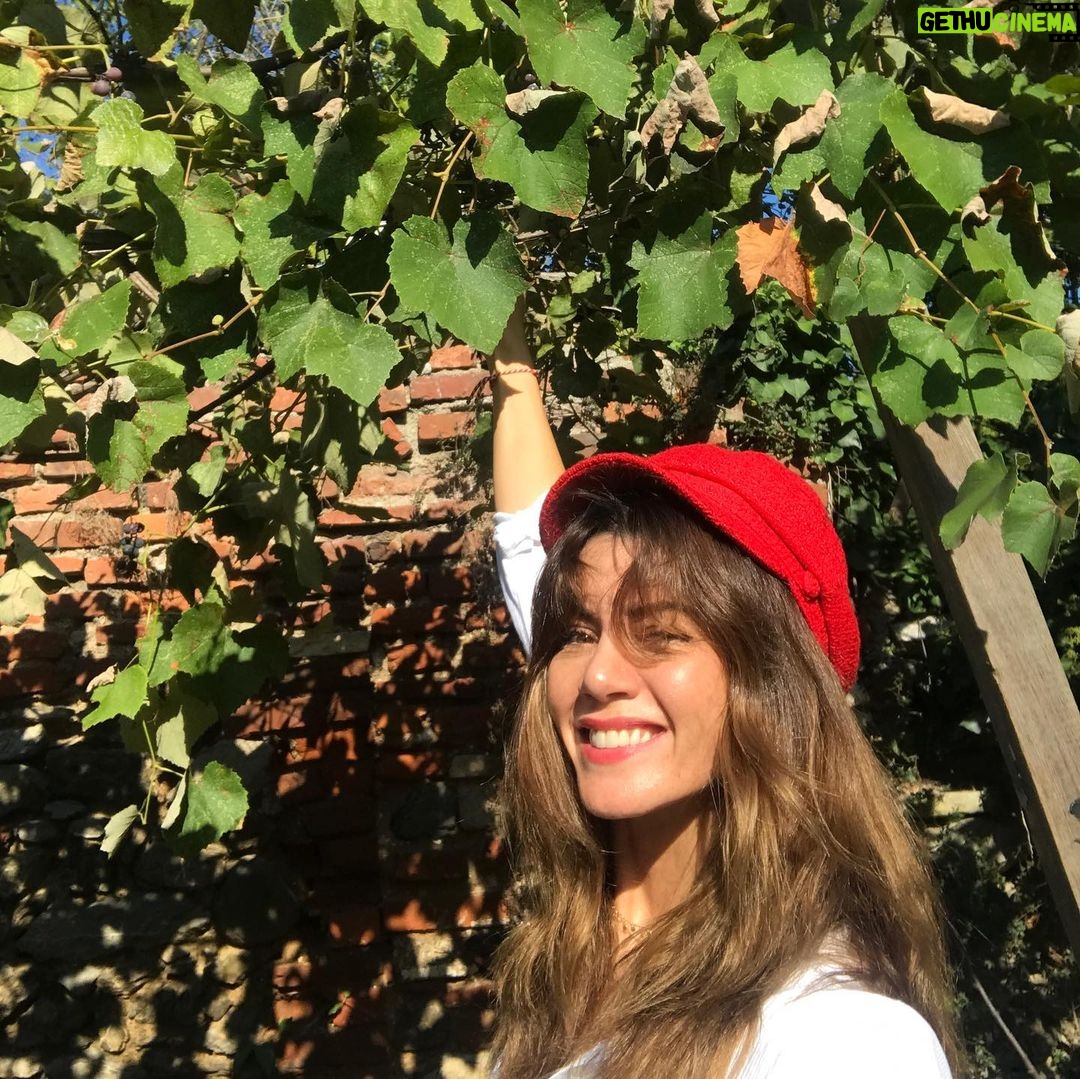 Gökçe Bahadır Instagram - #birpazarhikayesi 🍇☺️