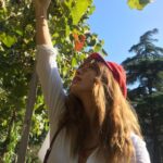 Gökçe Bahadır Instagram – #birpazarhikayesi 🍇☺️