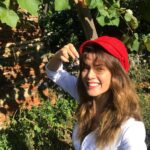 Gökçe Bahadır Instagram – #birpazarhikayesi 🍇☺️