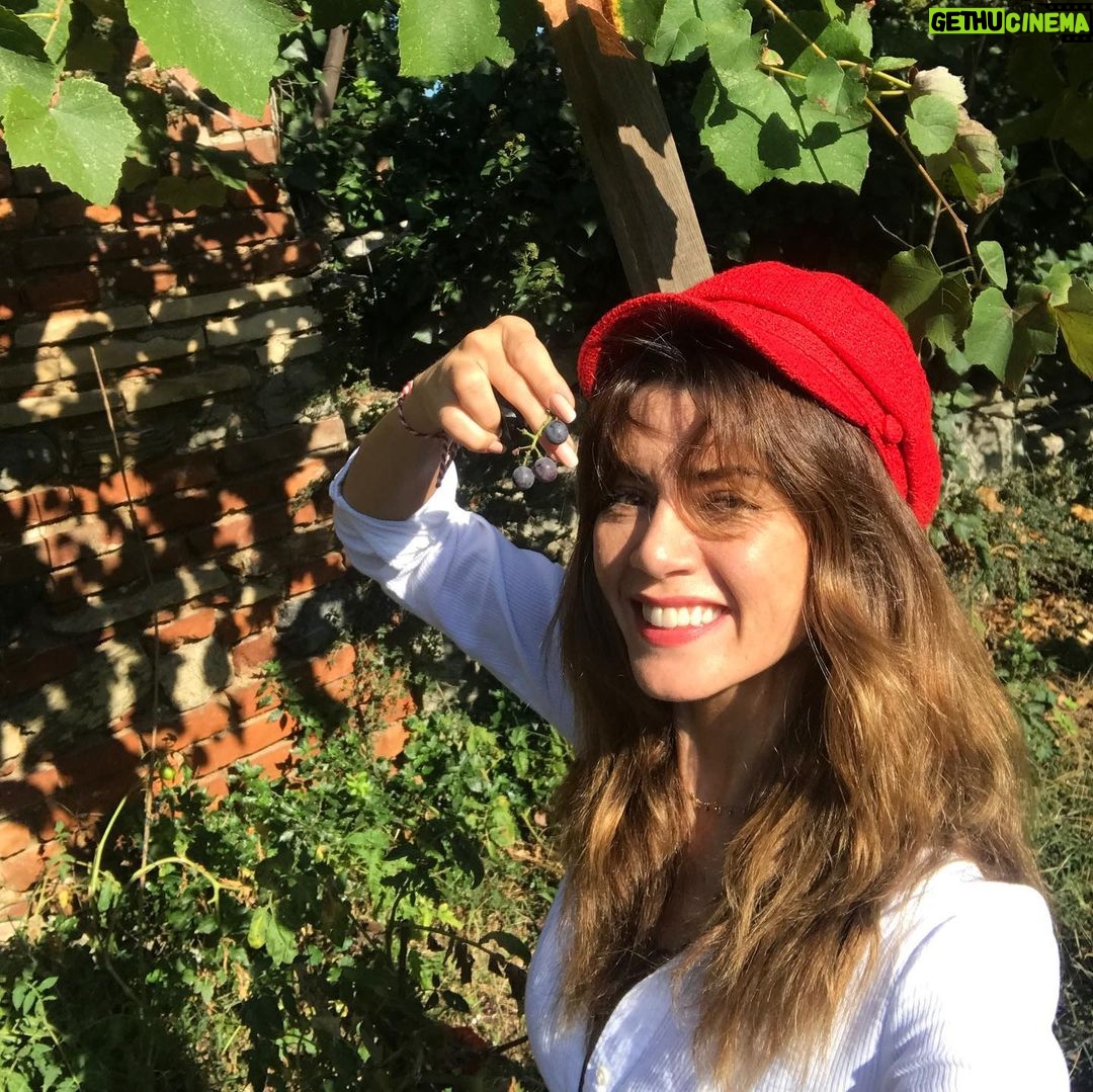 Gökçe Bahadır Instagram - #birpazarhikayesi 🍇☺️
