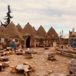 Gökhan Alkan Instagram - 🇹🇷 Themata Anatolika / Güneşin doğduğu taraf I - Kastabala - Hierapolis II - Tarihin sıfır noktası: Göbeklitepe III - Çingene kızı mozaiği IV - Mevlânâ Celâleddîn-i Rûmî V - Caesarea ad Anabarsum VI - Taşköprü VII - Zeugma VIII - Halil-ür Rahman Gölü IX - Harran evleri X - Ağaca çıkan keçinin dala bakan oğlağı olur.