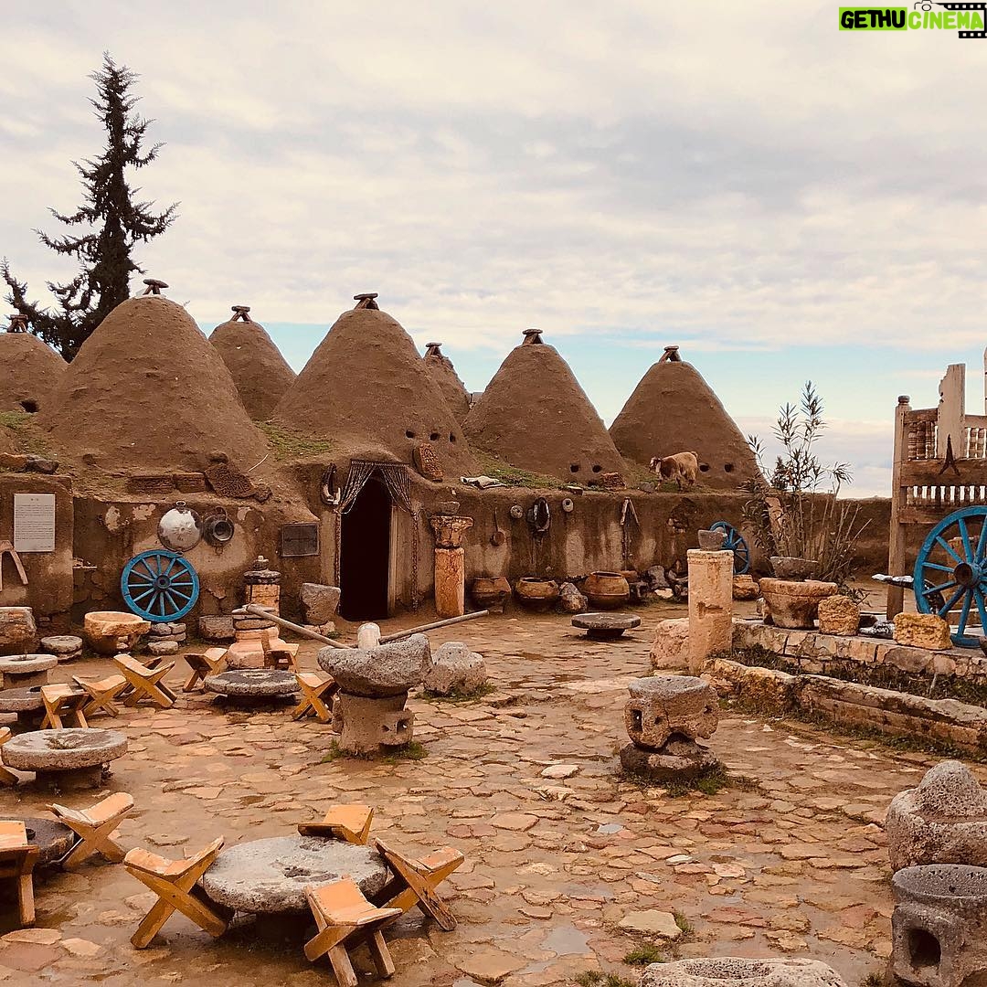 Gökhan Alkan Instagram - 🇹🇷 Themata Anatolika / Güneşin doğduğu taraf I - Kastabala - Hierapolis II - Tarihin sıfır noktası: Göbeklitepe III - Çingene kızı mozaiği IV - Mevlânâ Celâleddîn-i Rûmî V - Caesarea ad Anabarsum VI - Taşköprü VII - Zeugma VIII - Halil-ür Rahman Gölü IX - Harran evleri X - Ağaca çıkan keçinin dala bakan oğlağı olur.